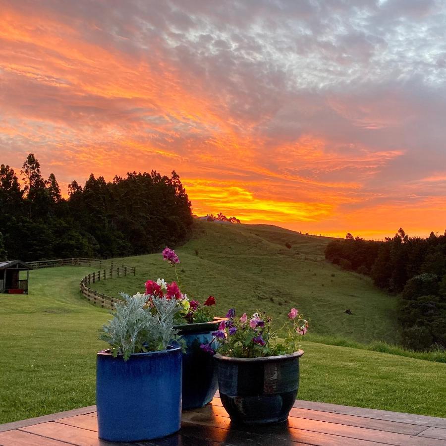 Kauri Glen Bnb Te Arai Extérieur photo