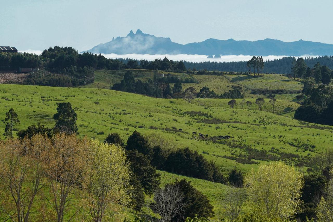 Kauri Glen Bnb Te Arai Extérieur photo